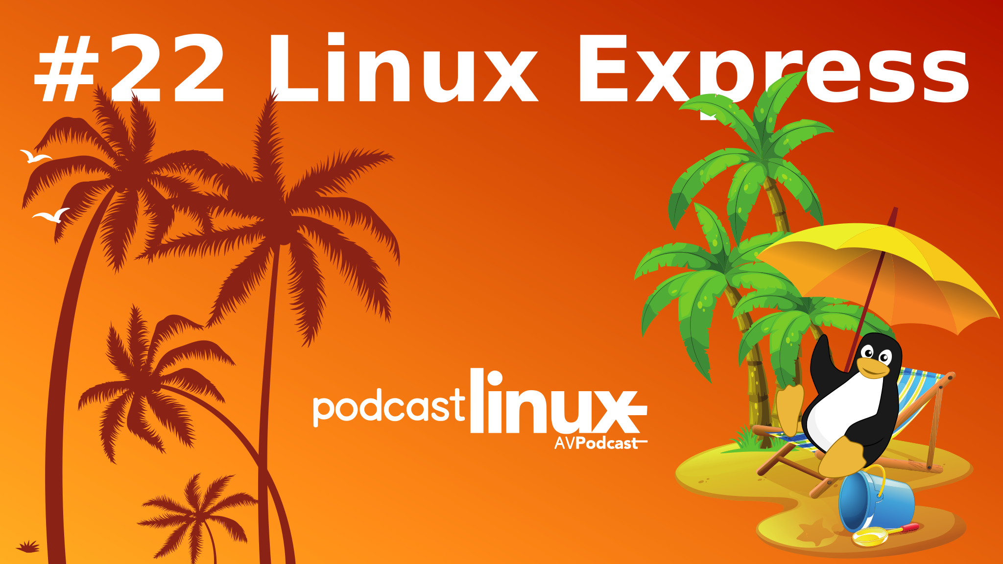 #22 Linux Express